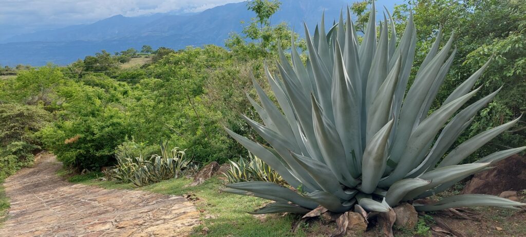 Camino real Barichara